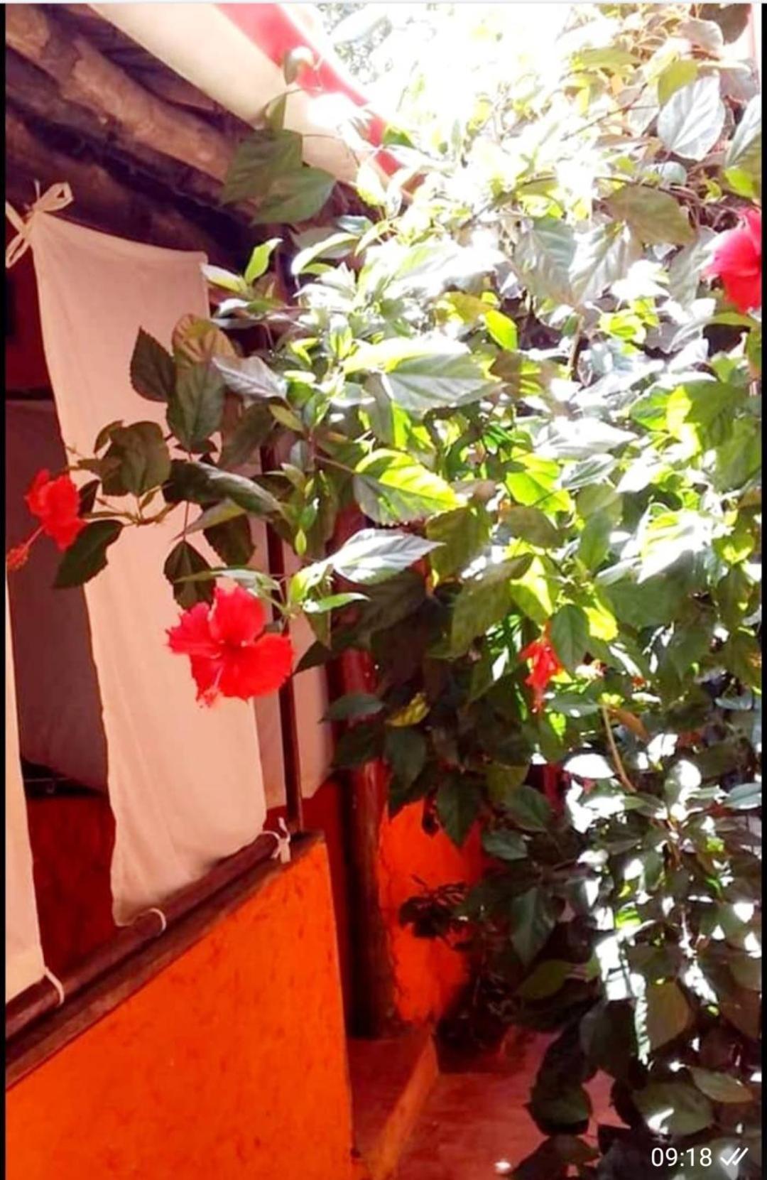 Sipano Bed & Breakfast